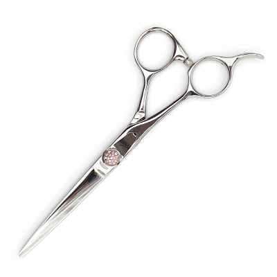 이미지 상세보기